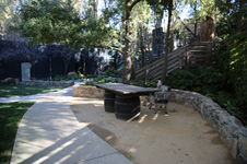 Enlarge photo 125
