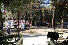 Enlarge photo 158