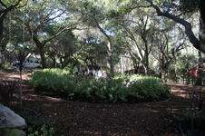 Enlarge photo 214
