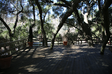Enlarge photo 220
