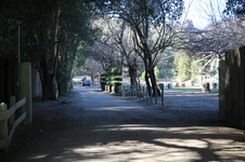 Enlarge photo 282