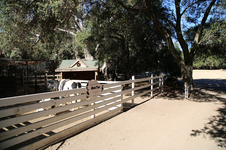 Enlarge photo 284