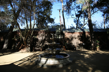Enlarge photo 297