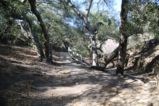 Enlarge photo 334