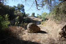 Enlarge photo 355