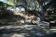 Enlarge photo 399