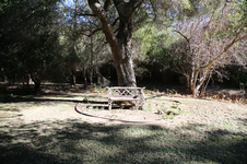 Enlarge photo 403