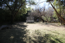 Enlarge photo 410
