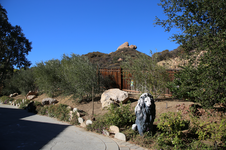 Enlarge photo 419