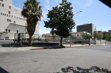 Enlarge photo 81