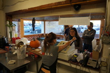 Enlarge photo 26