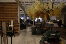 Enlarge photo 15