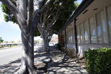 Enlarge photo 40