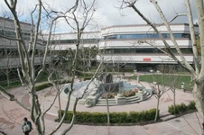Enlarge photo 21