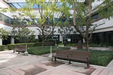 Enlarge photo 36