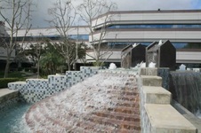 Enlarge photo 47