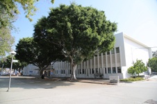 Enlarge photo 27