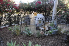 Enlarge photo 31