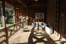 Enlarge photo 86