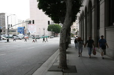 Enlarge photo 122