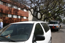 Enlarge photo 25