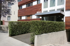 Enlarge photo 34