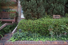Enlarge photo 45