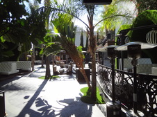 Enlarge photo 13