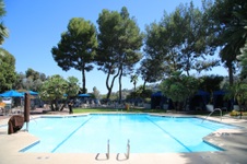 Enlarge photo 42