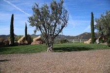 Enlarge photo 4