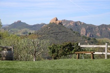 Enlarge photo 7