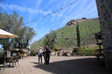 Enlarge photo 15