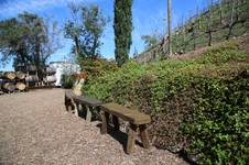 Enlarge photo 20