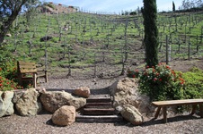 Enlarge photo 21