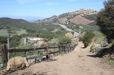 Enlarge photo 27