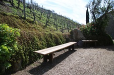 Enlarge photo 29