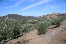 Enlarge photo 73