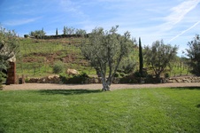 Enlarge photo 75