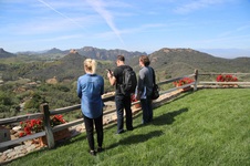 Enlarge photo 82