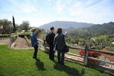 Enlarge photo 83