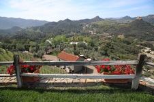 Enlarge photo 84