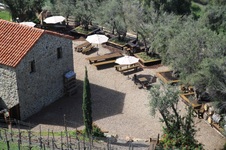 Enlarge photo 87