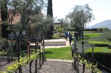 Enlarge photo 98