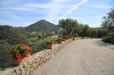 Enlarge photo 113