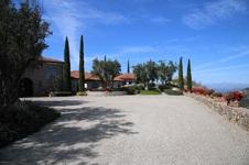 Enlarge photo 115