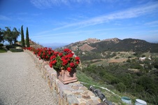 Enlarge photo 116