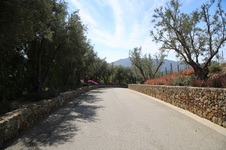 Enlarge photo 118
