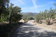 Enlarge photo 119