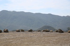 Enlarge photo 122