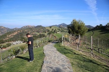 Enlarge photo 6